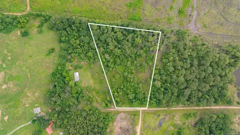Hallsville Land with Wooded Acreage