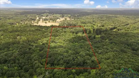 East Texas Acreage Opportunity