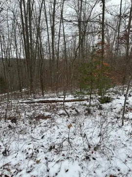 Residential Land in Lewisburg, WV