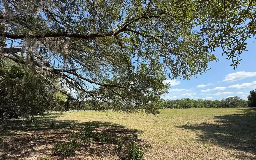 Picture 28