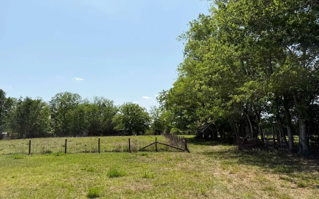 Picture 8