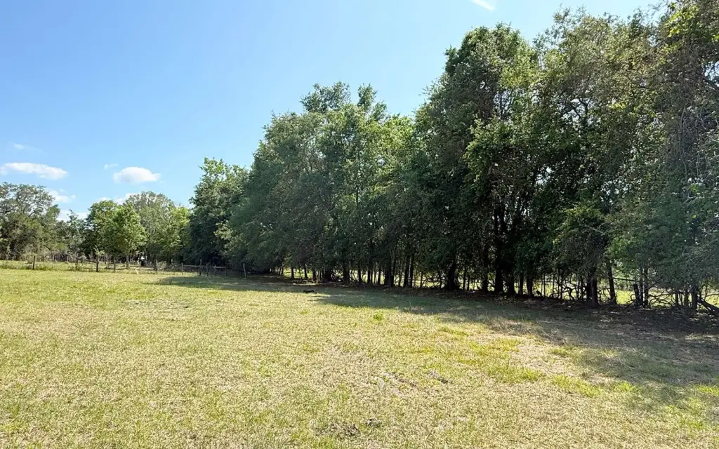 Picture 20
