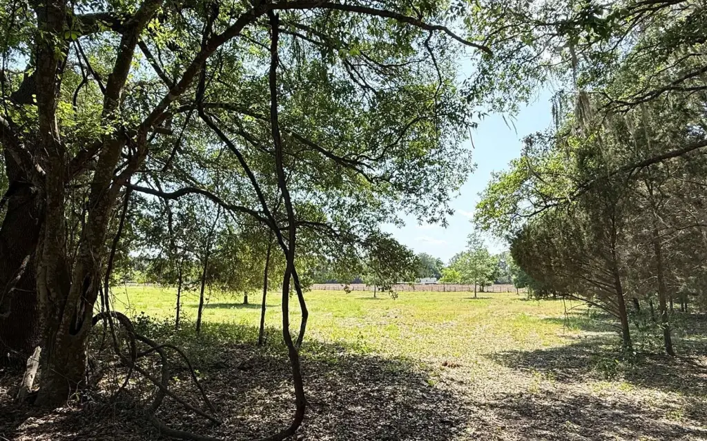 Picture 23