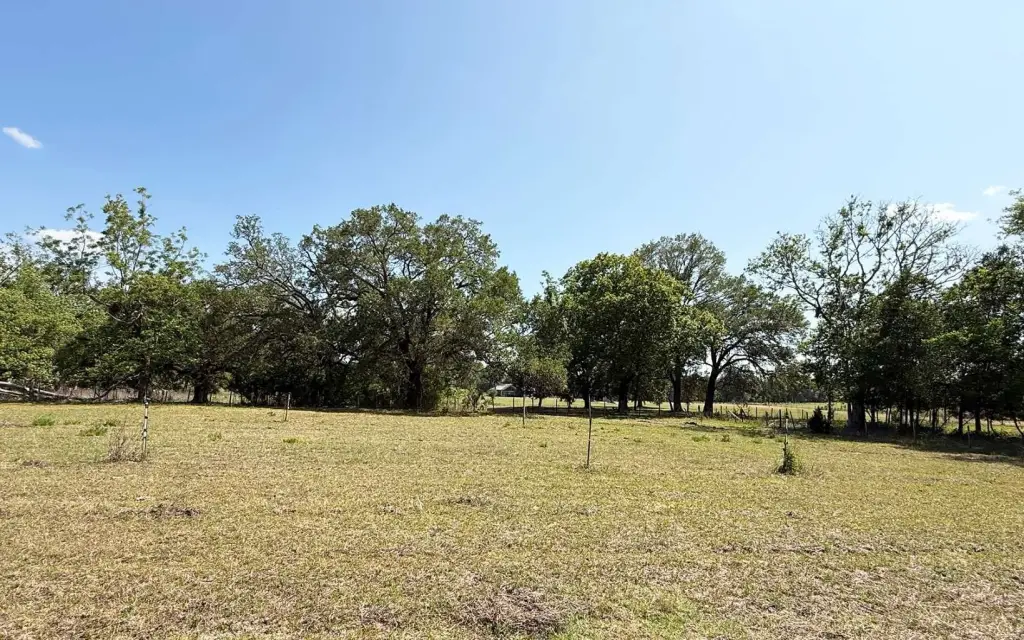 Picture 18