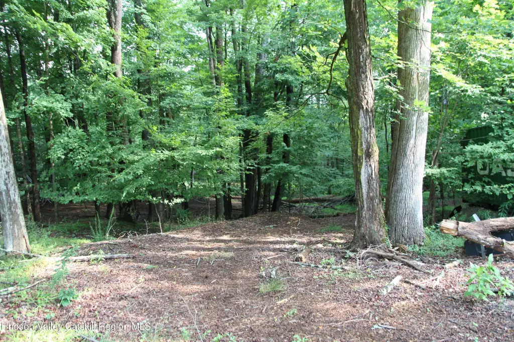 Picture 18