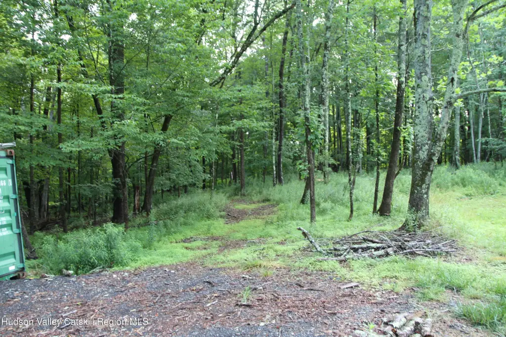 Picture 17
