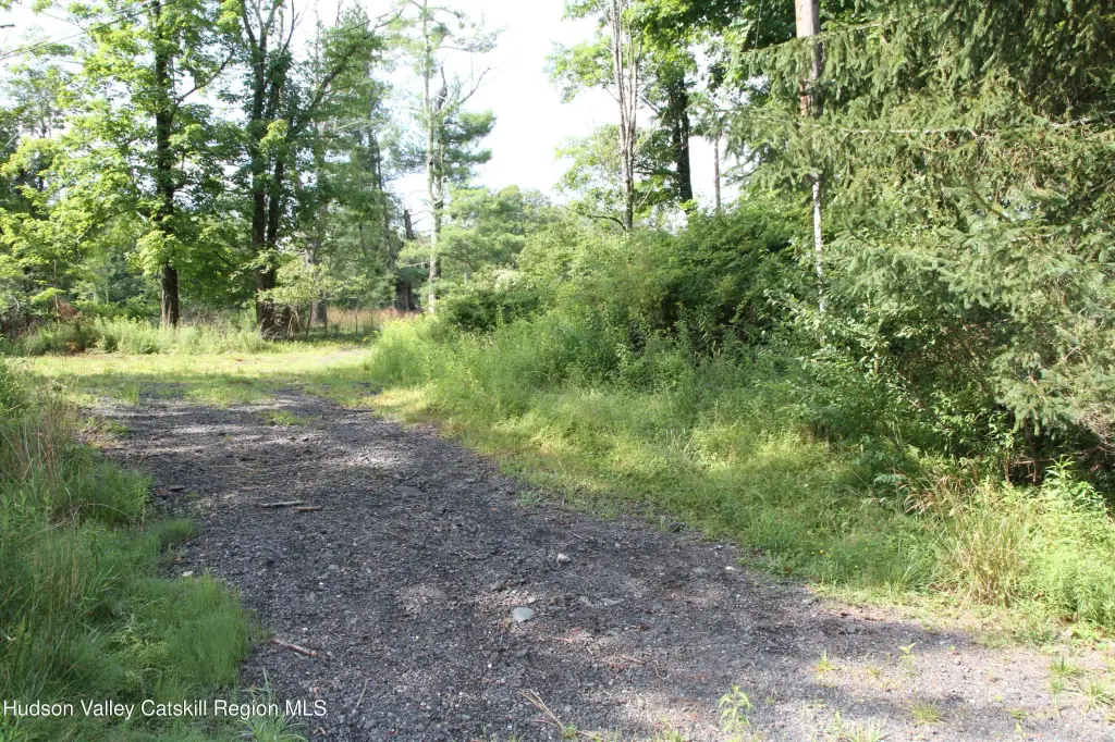 Picture 6