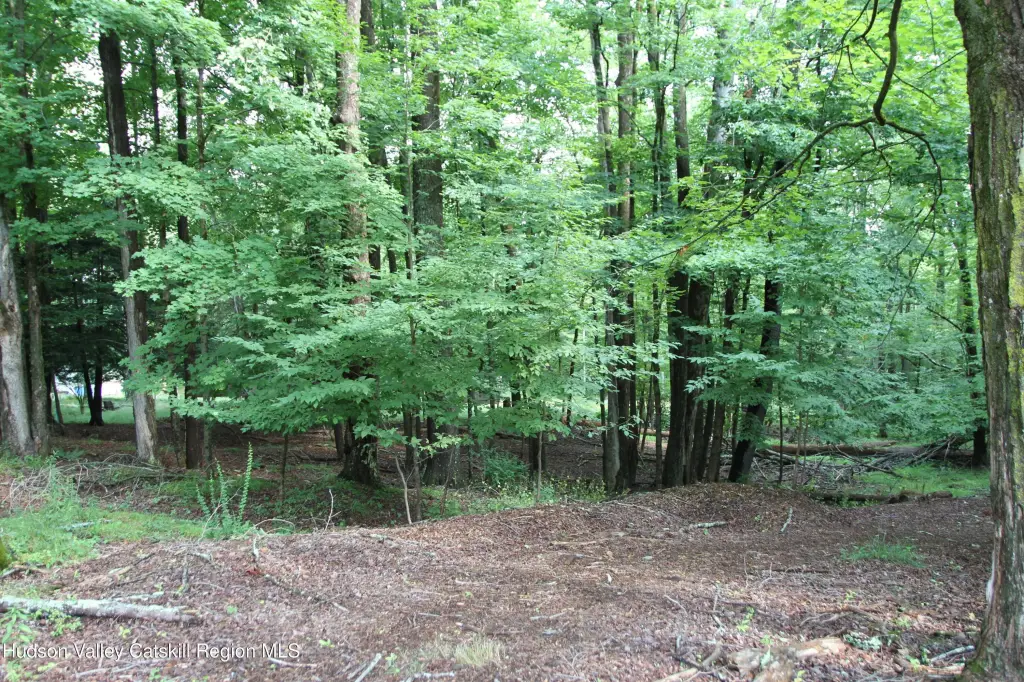 Picture 12