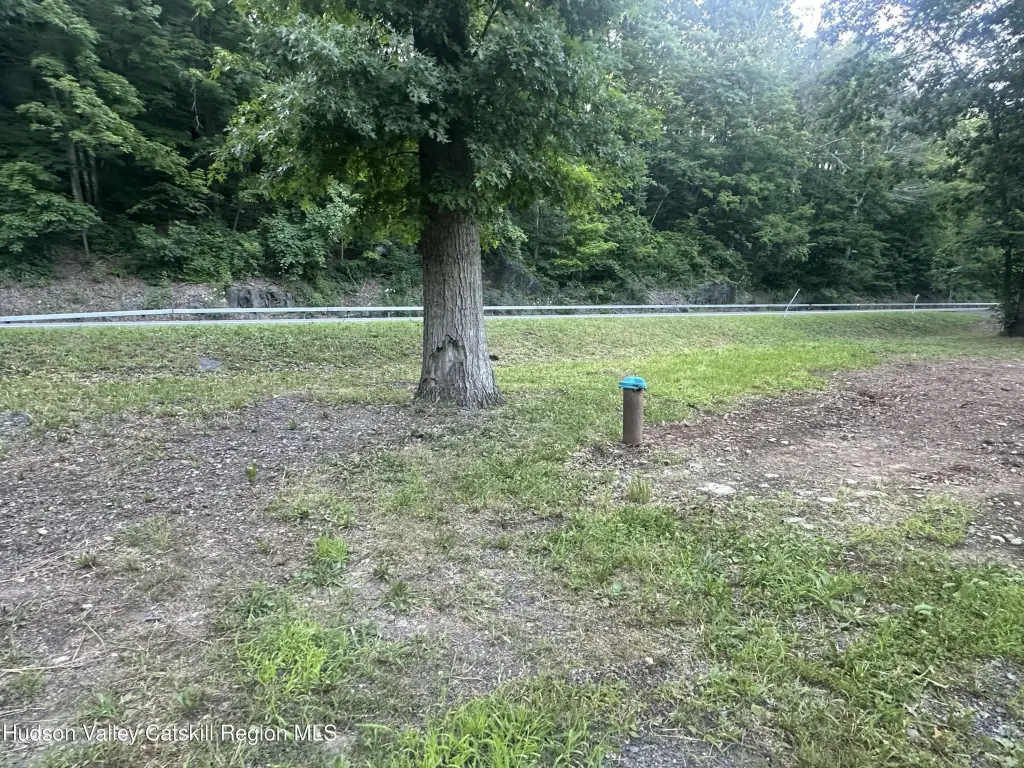 Picture 6
