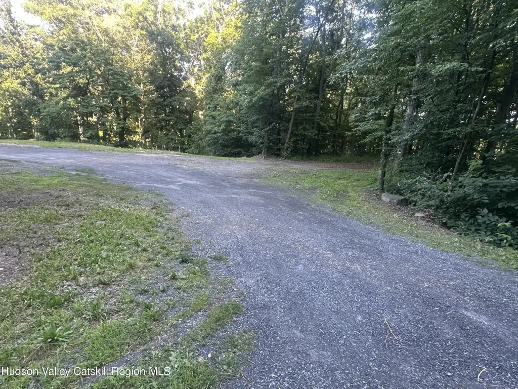 Picture 5