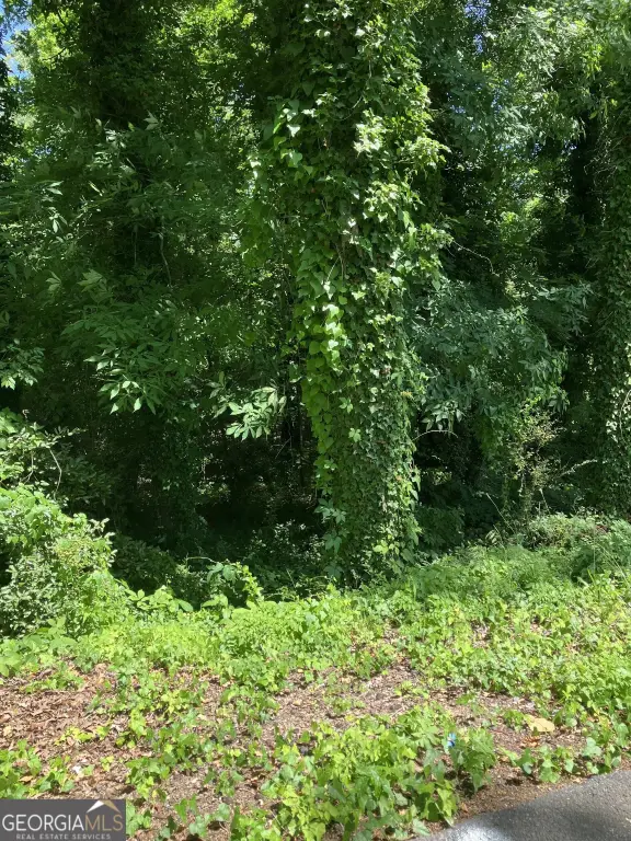 Picture 3