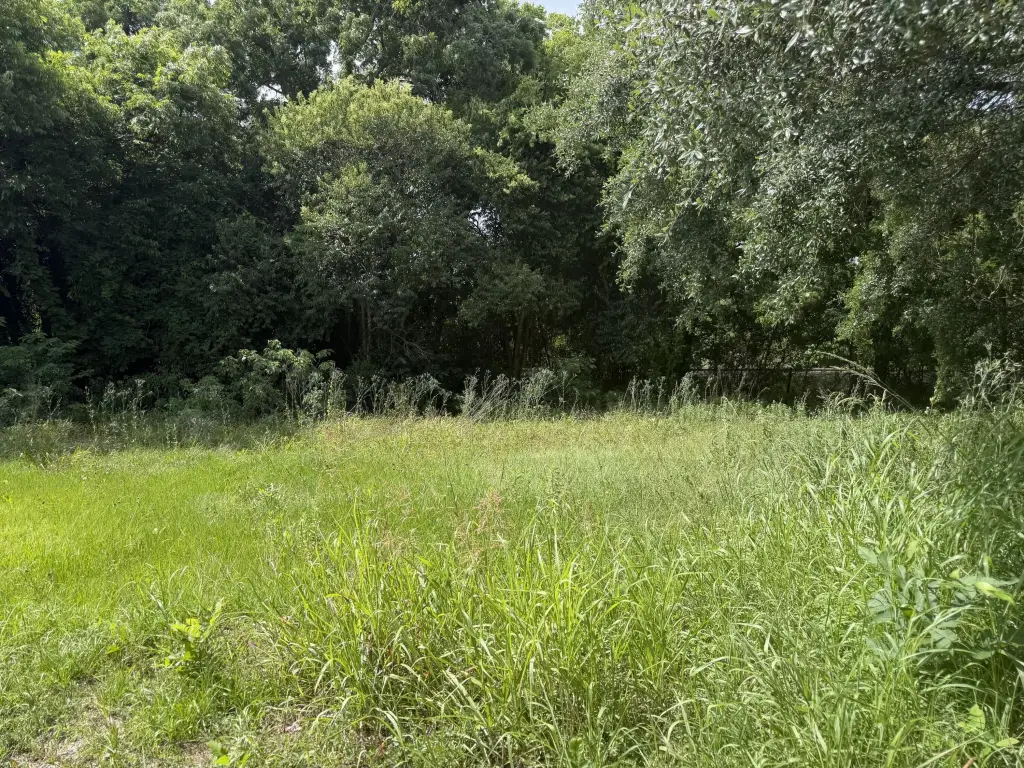 Picture 2