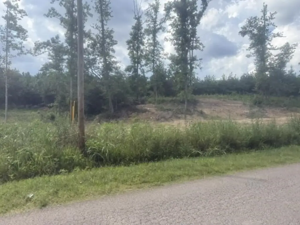 Picture 3