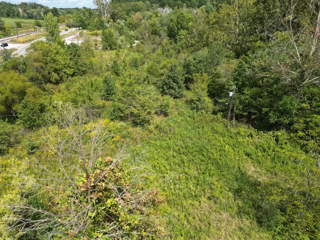 Picture 5