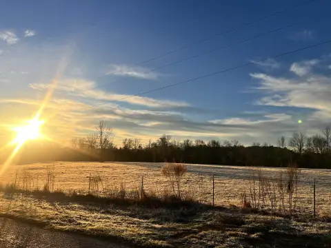 5 Acres Pasture Land in Petal