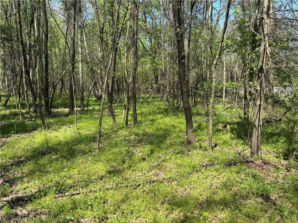 Picture 8