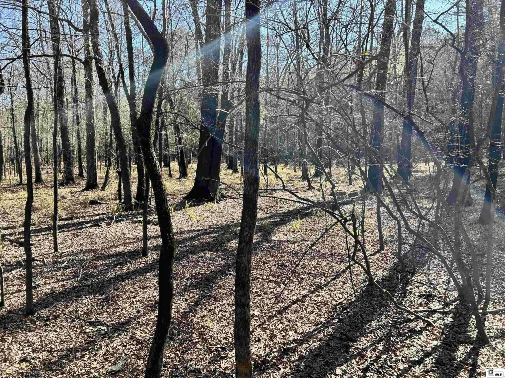 Picture 8