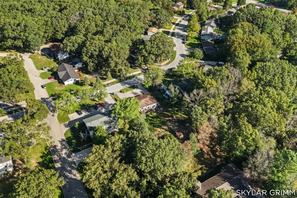 Picture 47