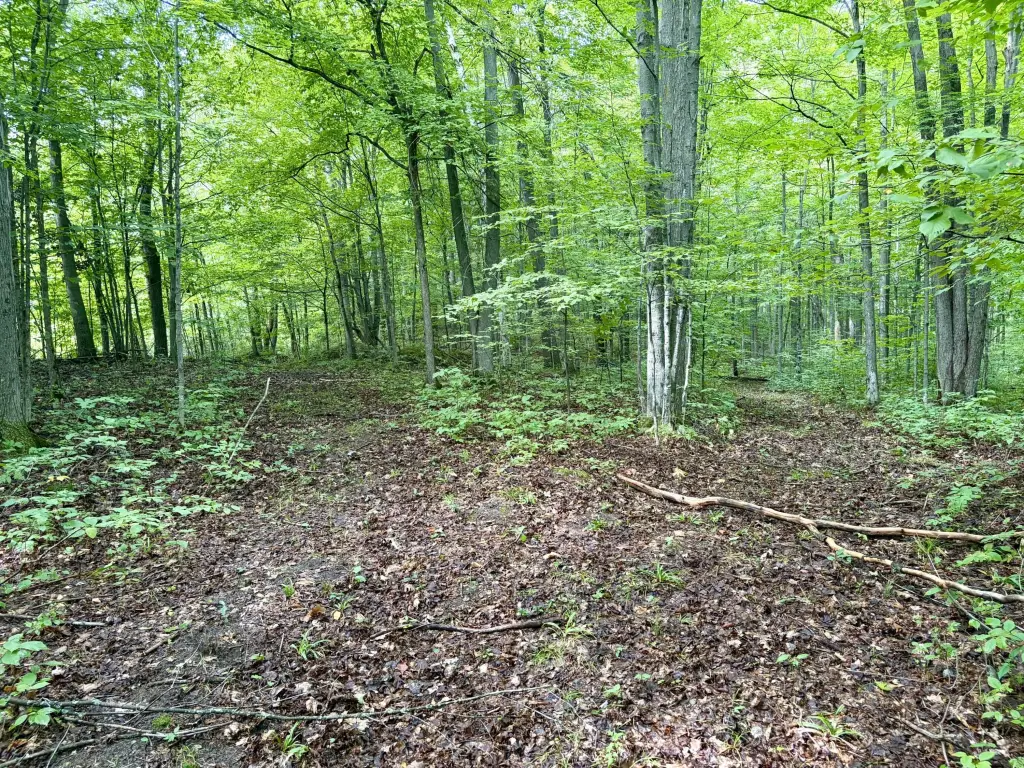 Picture 40