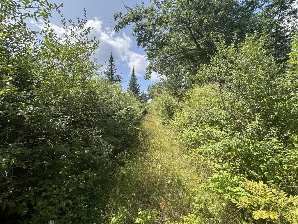 Picture 17