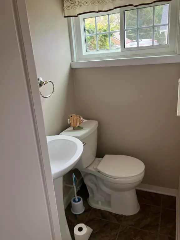 Picture 28