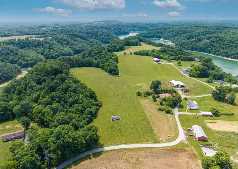 Cleared Agricultural Land