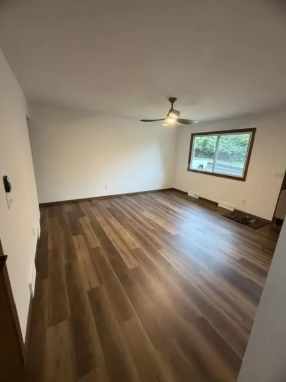 Picture 24