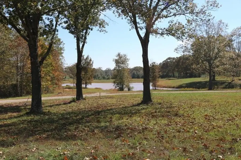 Picture 7