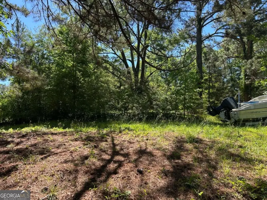 Picture 5
