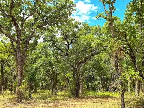 Ranch Land with Oak Timber