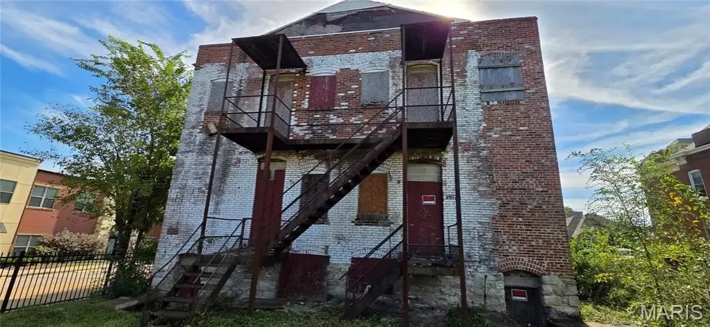 Picture 8