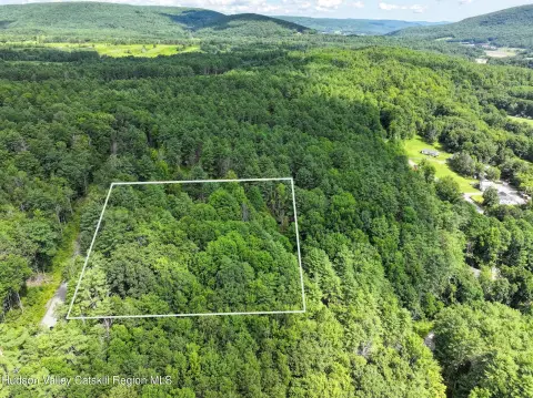 Wooded Land Parcel