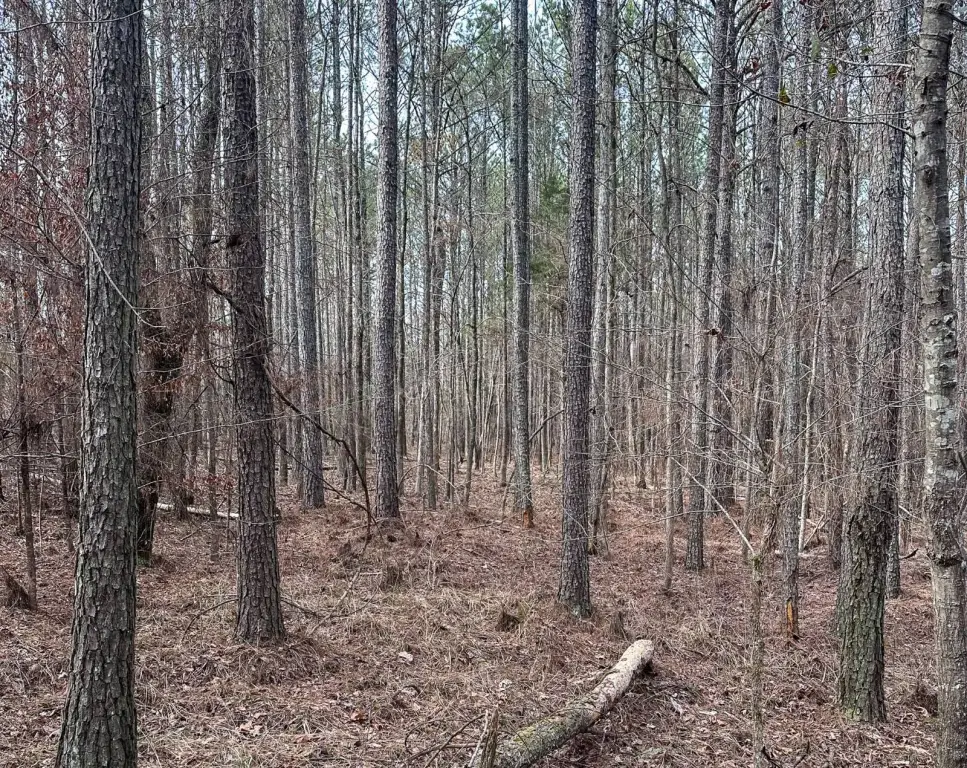 Picture 36