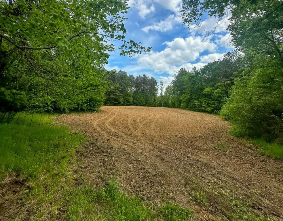 Picture 27