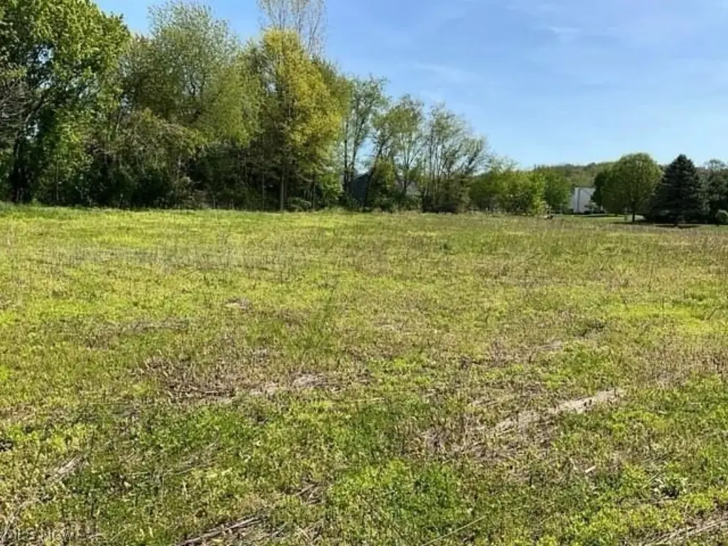 Picture 21