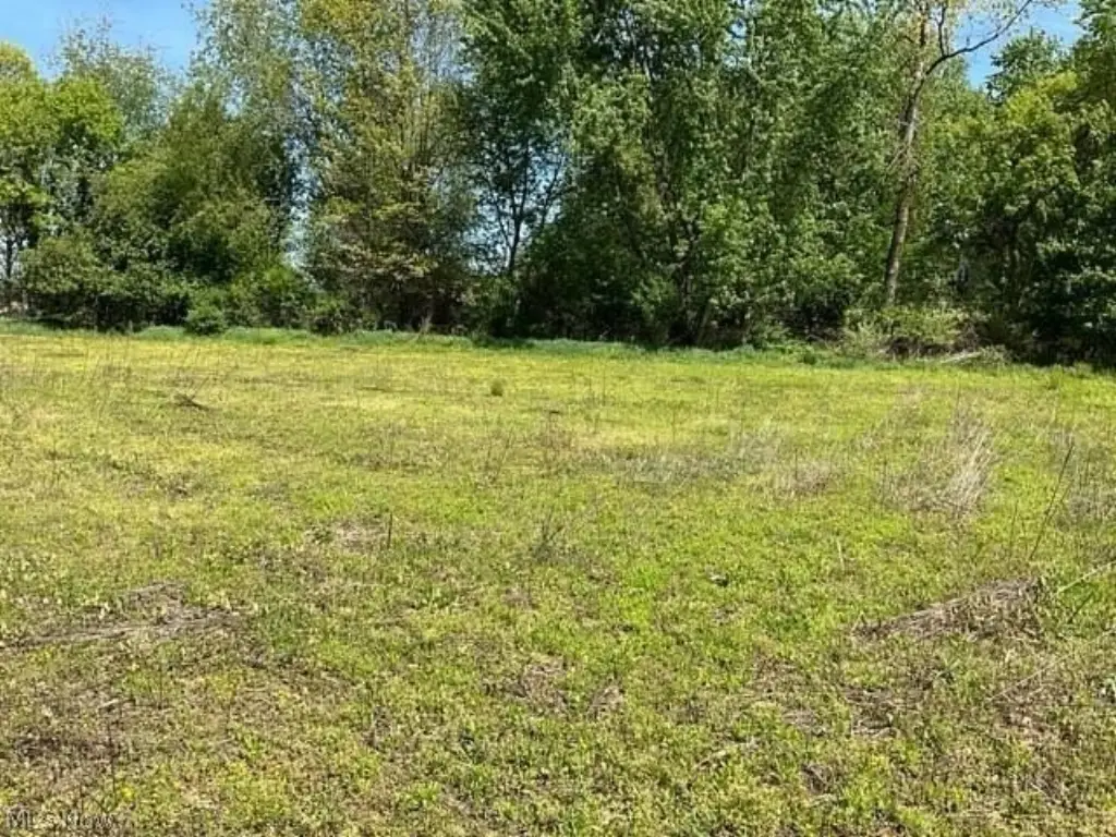 Picture 19