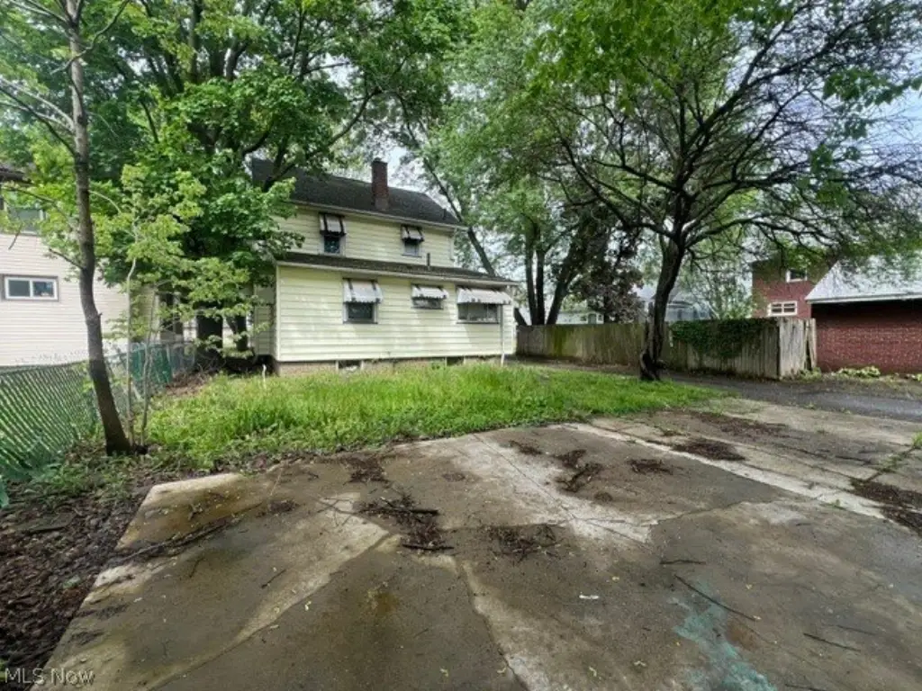 Picture 7