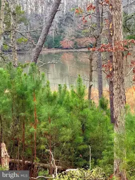 Waterfront Land in King George