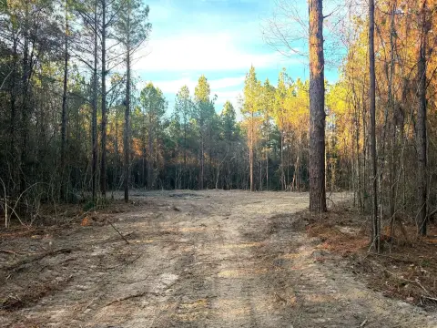 Poplarville Residential Land with Blacktop Frontage