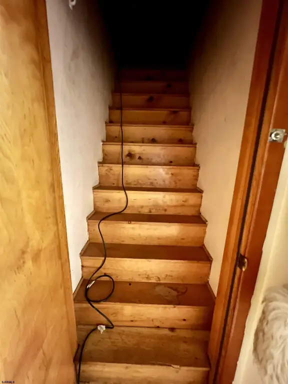 Picture 23