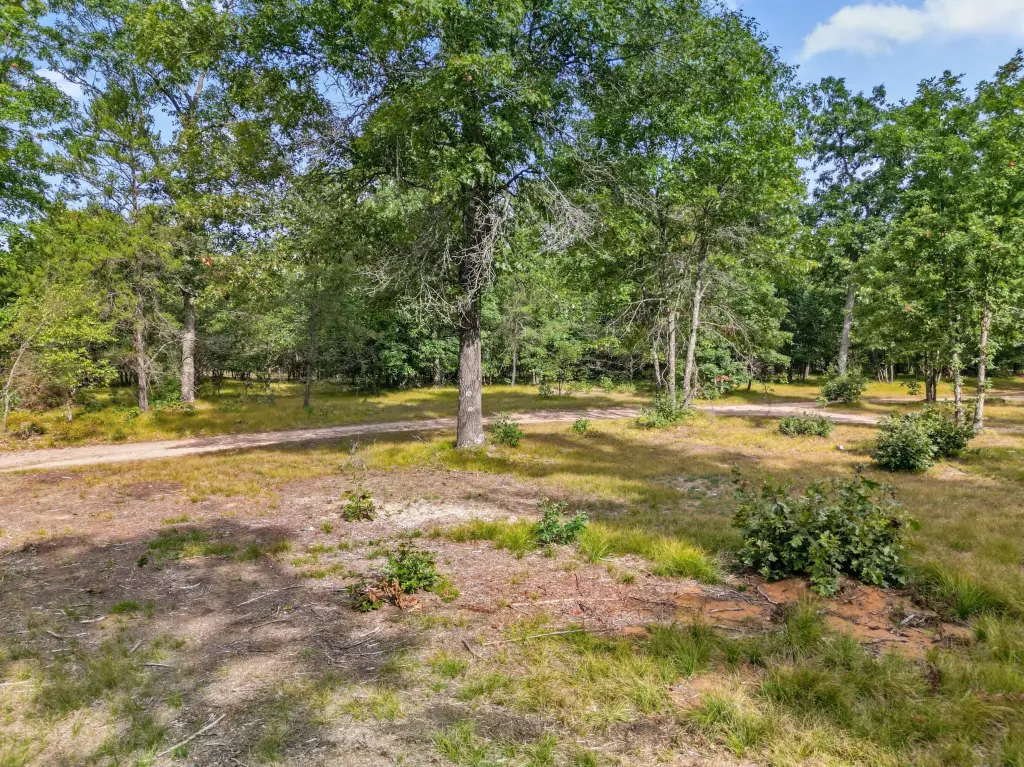 Picture 21