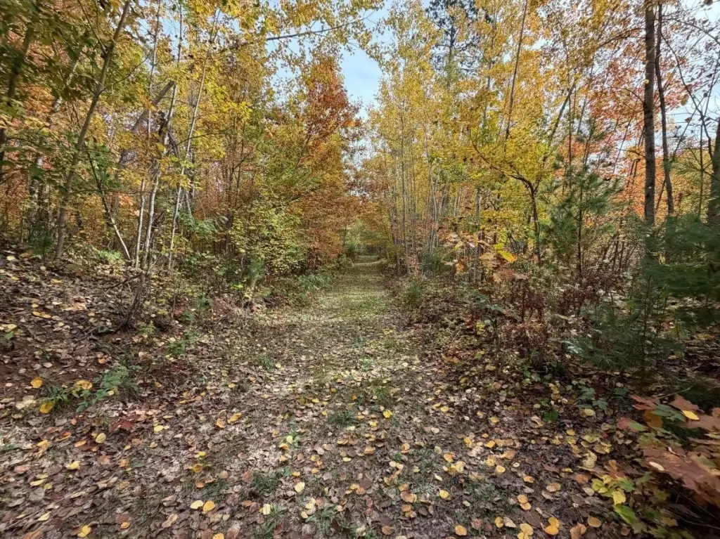 Picture 20