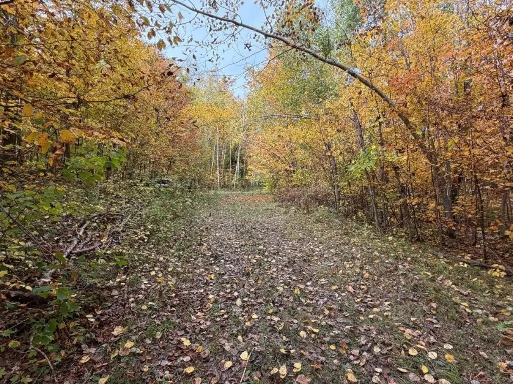 Picture 23
