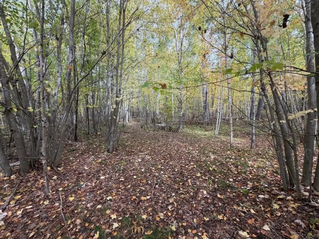 Picture 17
