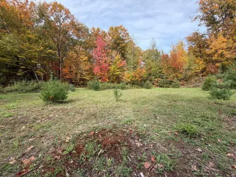 Wooded Recreational Land