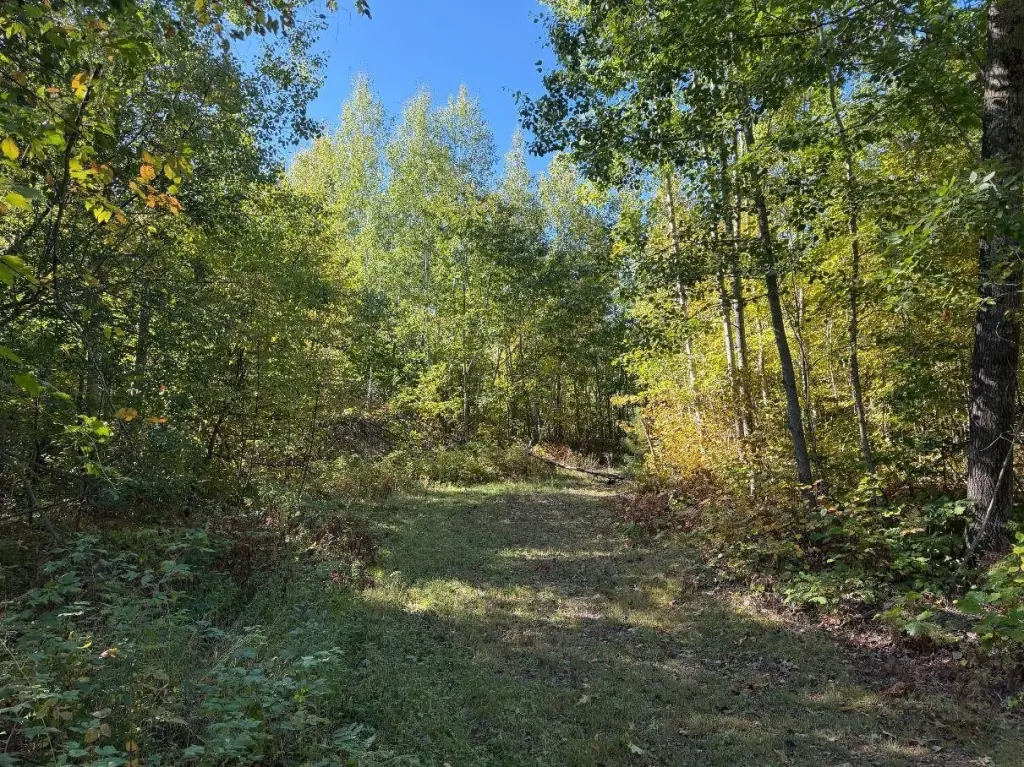 Picture 25