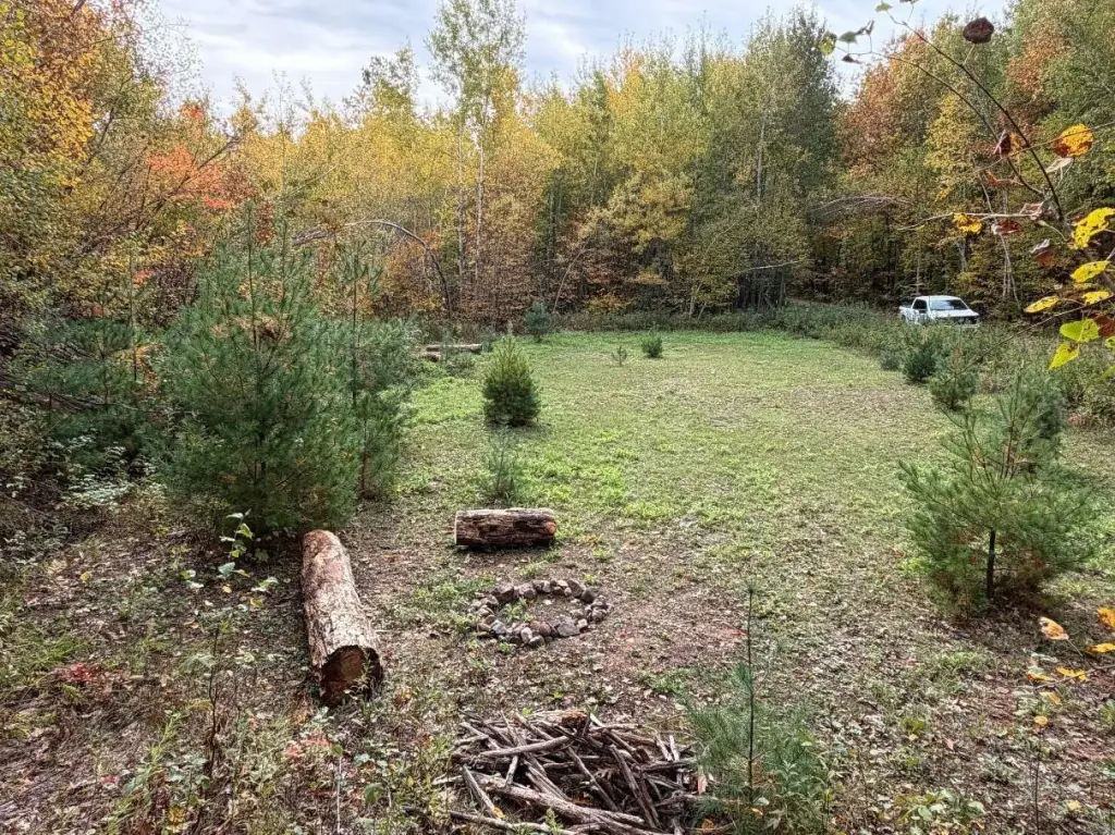 Picture 28