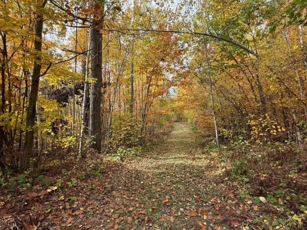 Picture 19