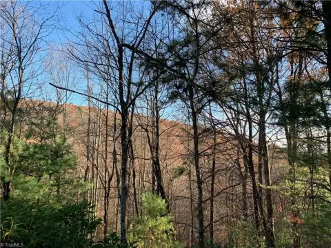 Residential Land Near Blue Ridge