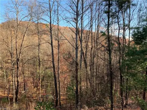 Residential Lot Near Blue Ridge